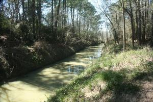 Cypress Creek