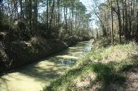 Cypress Creek