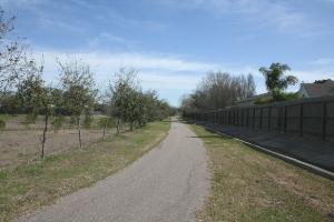 View Of The NE Trail Segment
