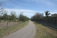 View Of The NE Trail Segment