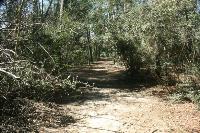 Back To The Park Area