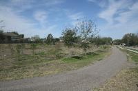 Another View Of The NE Trail Segment