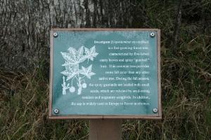 Learn As You Hike