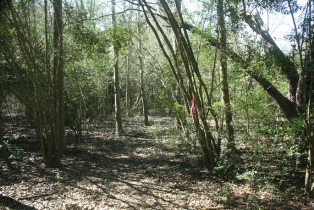 Nature Trail