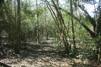 Nature Trail