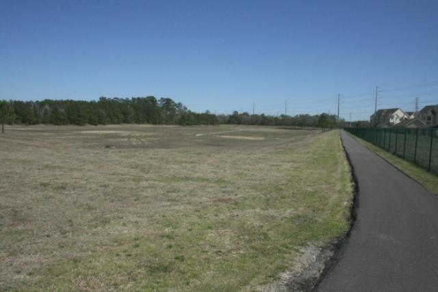 View Of The Trail