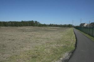 View Of The Trail