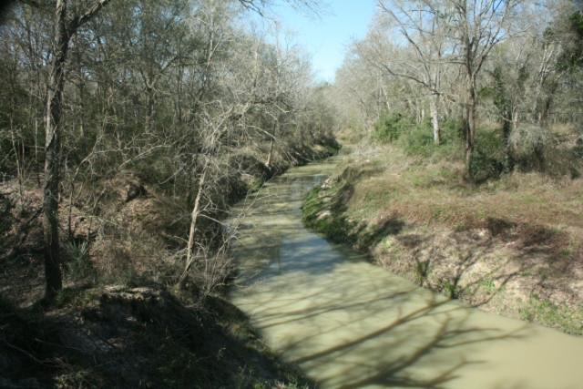 Cypress Creek