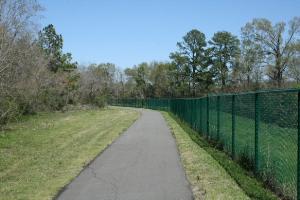 Another View Of The Trail