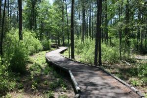 View Of The Trail