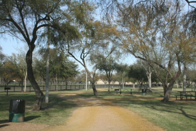 View Of The Trail