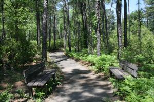 Another View Of The Trail