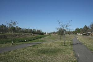 Another View Of The Trail