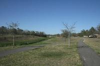 Another View Of The Trail