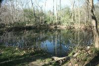 Ponds