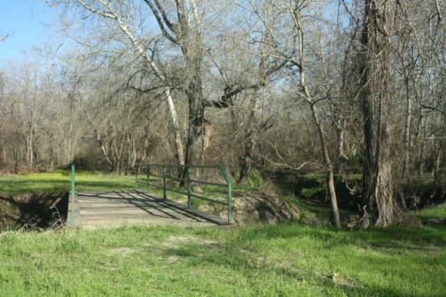 Bear Creek
