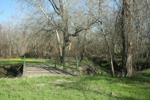Bear Creek