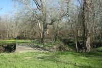 Bear Creek