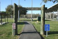 View Of The Trail