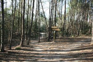 Another View Of The Trail
