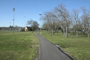 Another View Of The Trail