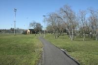 Another View Of The Trail