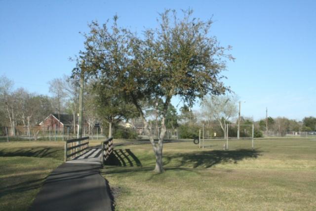 Another View Of The Trail