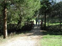 Blunn Creek Greenbelt is a popular spot for walks through the neighborhood.