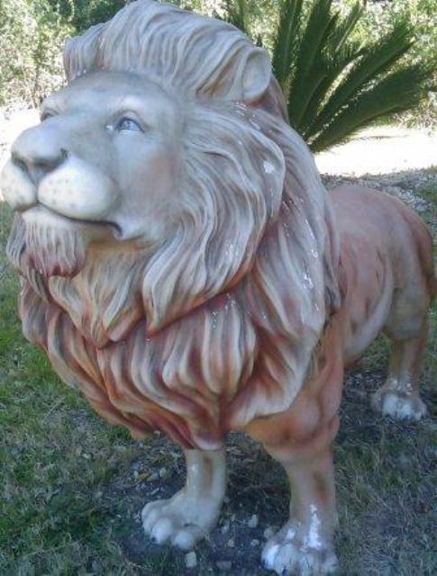 Oops, Lions too