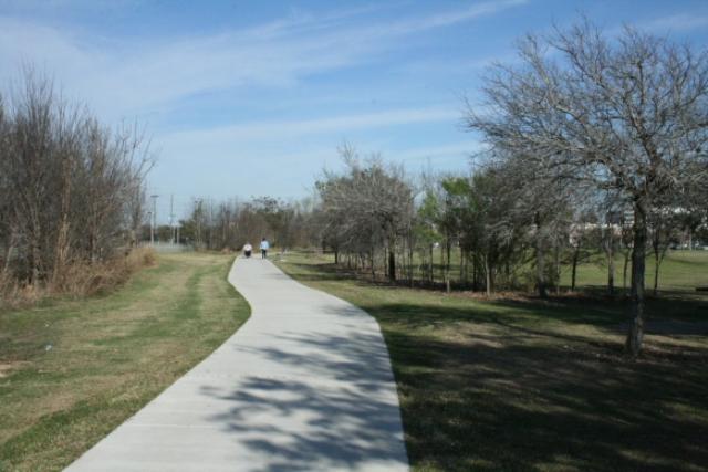 View Of The Trail