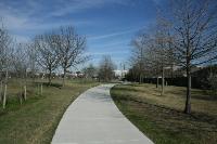 Another View Of The Trail