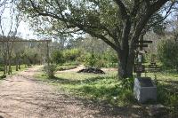 Hester Garden