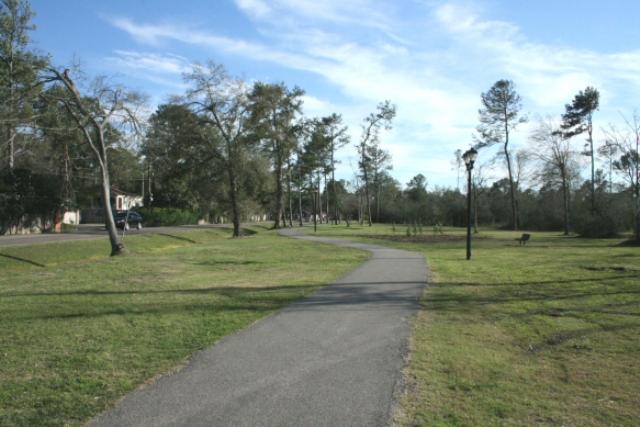 View Of The Trail