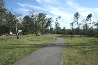 View Of The Trail