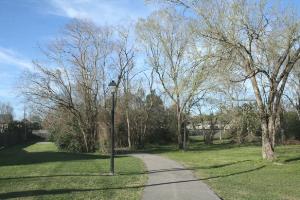 Another View Of The Trail