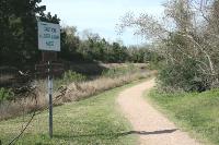 Another View Of The Trail