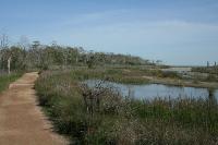 Pine Gully Park
