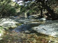 Blunn Creek features fairly clear waters, a surprise given the city around it.