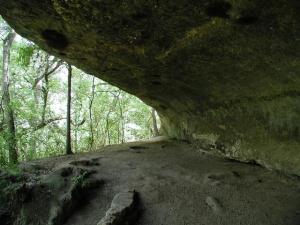 Under the shelter