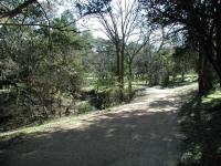 Blunn Creek Greenbelt is a popular spot for walks through the neighborhood.