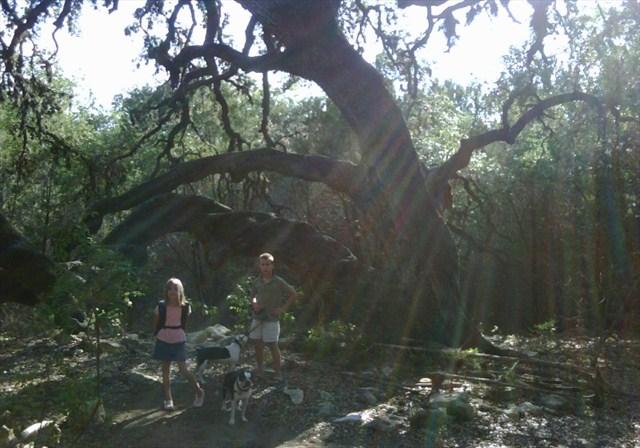 GeoCache!