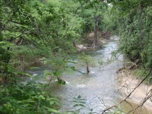 Onion Creek