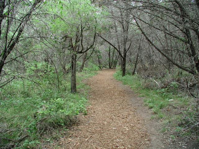 Trail View