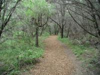 Trail View