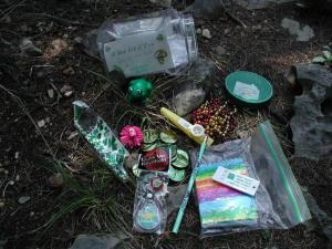 Cache Contents