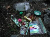 Cache Contents