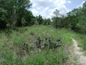 Trail View