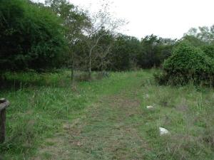 Another Trail View