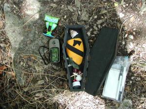 Cache Contents