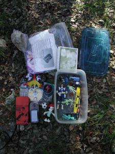 Cache Contents